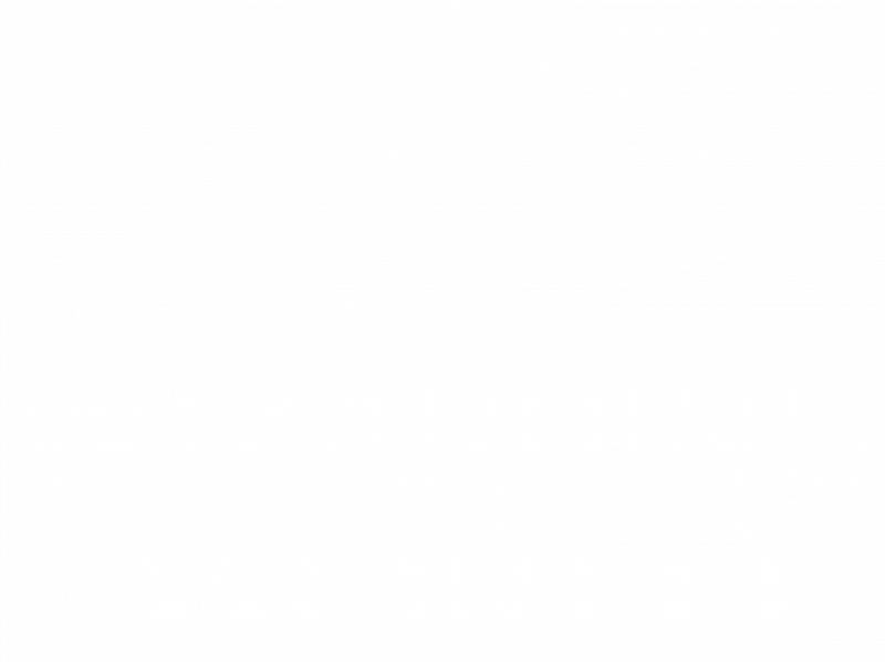 Wizarding world logo